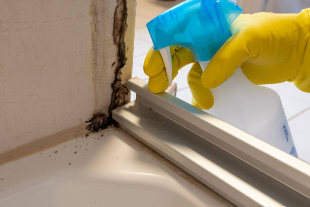 Best Mold Testing  in Genola, UT