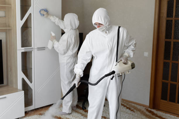 Best Fast Mold Removal  in Genola, UT