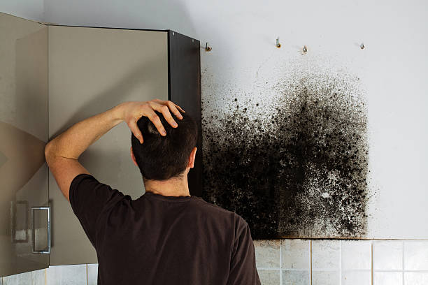 Crawl Space Mold Removal in Genola, UT