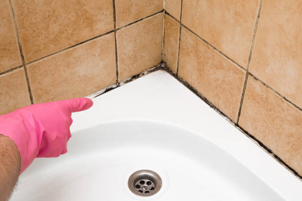 Best Mold Removal Near Me  in Genola, UT